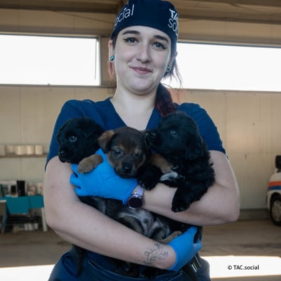 VS-Photograph_20241101_DRI_Romania_LindaPataRat_008_©TAC_social