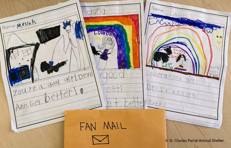 VS-Photograph_20241218_GFL_LA-WA-OR_DestiAnn_Fanmail_001_©StCharlesParishAnimalShelter