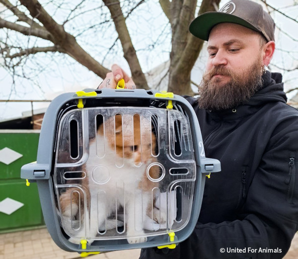 VS-Photograph_20250325_DRI_Ukraine_UFA_001_©UnitedForAnimals