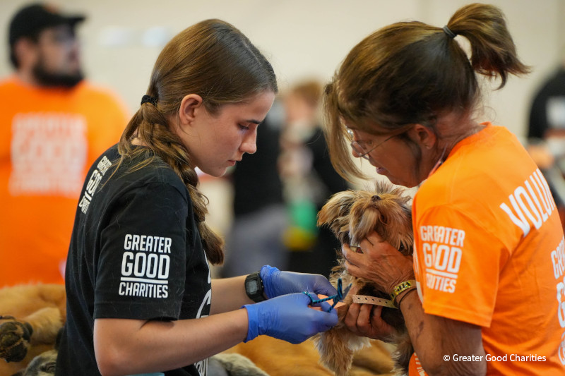 VS-Photograph_20250729_FIX_Austin_R5_070_©GGC