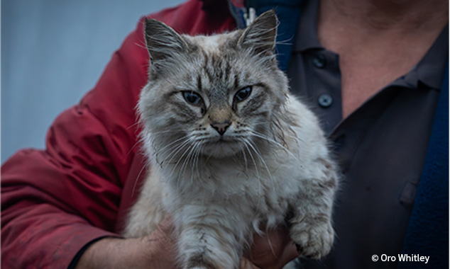 VS-Photograph_20251105_CDR_Ukraine_StepovaDolyna_008_©OroWhitley_GGC