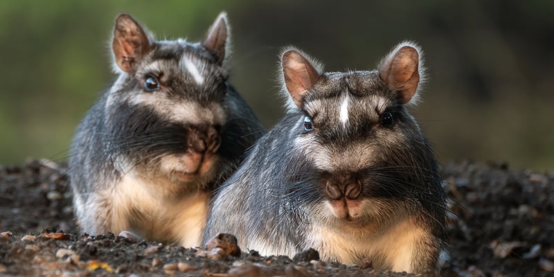 VS-Photograph_20251208_AdobeStock_908115322_©Adobe