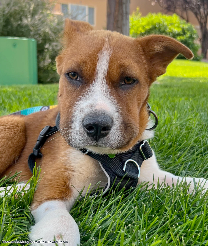 WEBSITE EOY-CYG-EAM-11-20251009_AHW_EAM_UARR_Bumper_003-720x850