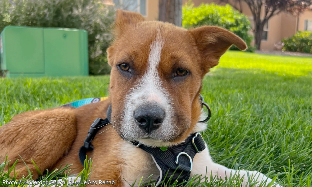 WEBSITE EOY-CYG-EAM-12-20251009_AHW_EAM_UARR_Bumper_003-634x380