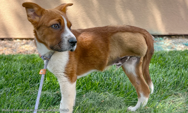 WEBSITE EOY-CYG-EAM-15-20251009_AHW_EAM_UARR_Bumper_004-634x380