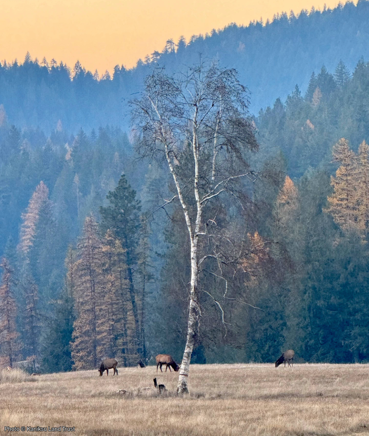 WEBSITE EOY-CYG-LandTrust-10-BC_SaglePeninsula_LassenTrust_004-720x850