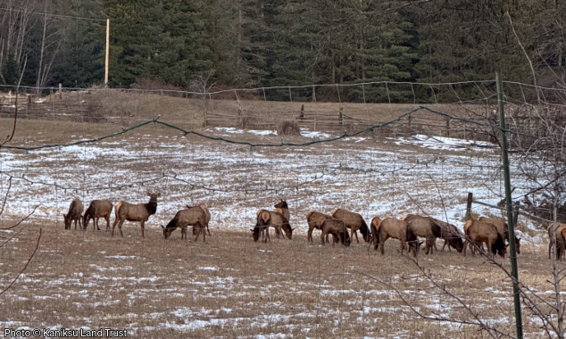 WEBSITE EOY-CYG-LandTrust-14-BC_SaglePeninsula_LassenTrust_005-634x380