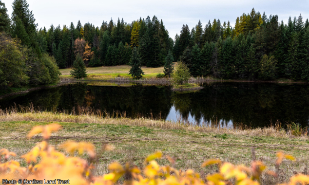 WEBSITE EOY-CYG-LandTrust-2-BC_SaglePeninsula_LassenTrust_001-634x380