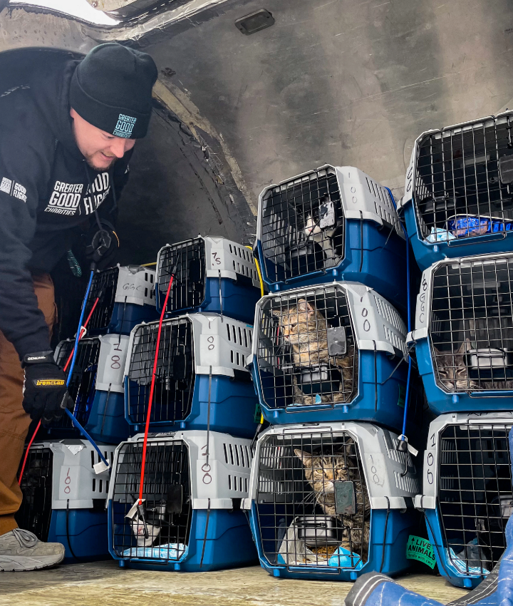 WEBSITE EOY-CYG-PetFlight-11-20250219_GFL_IA-ID-OR_Arrival_Portland_001-720x850