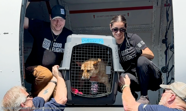 WEBSITE EOY-CYG-PetFlight-9-20250708_GFL-FTF_LA-NJ_Arrival_001-634x380