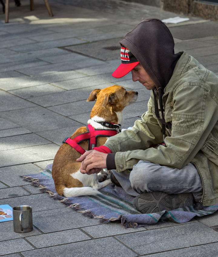 Website EOY-CYG-VetEmergPack-13-20251112_iStock-530746820-720x850