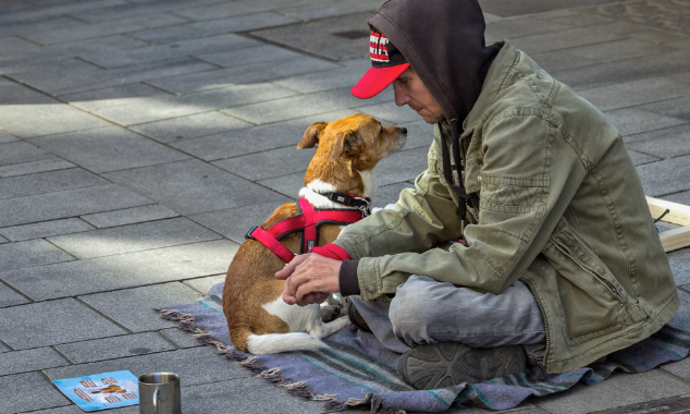 Website EOY-CYG-VetEmergPack-14-20251112_iStock-530746820-634x380