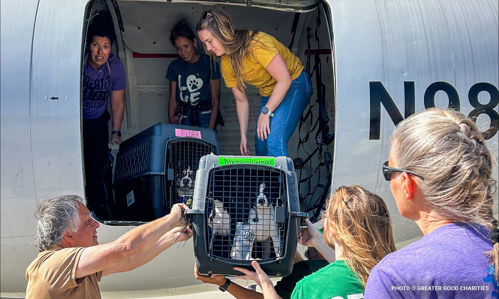 bridging-the-veterinary-care-gap-supporting-pets-families-communities