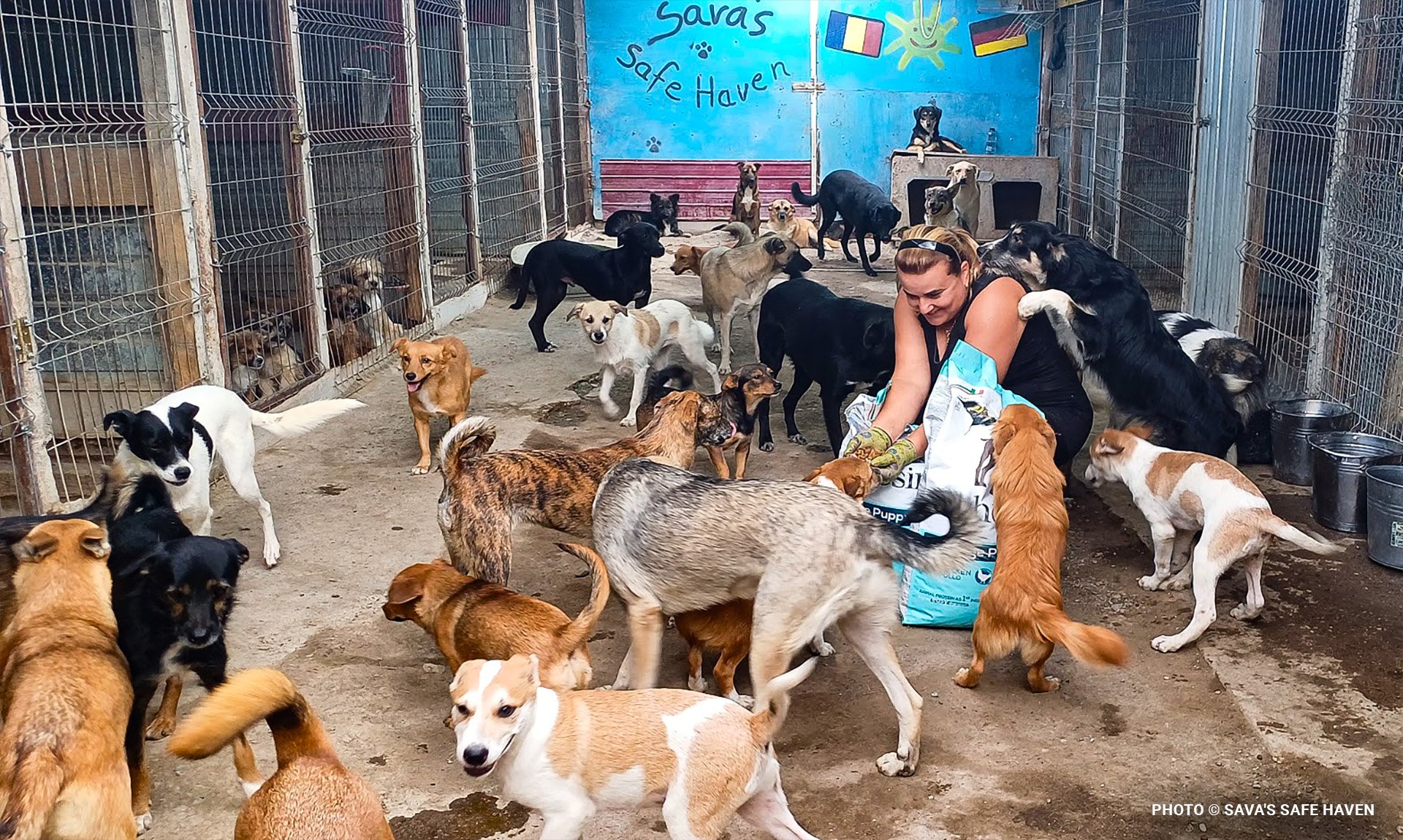 bridging-the-veterinary-care-gap-supporting-pets-families-communities8
