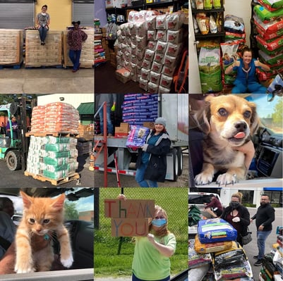 covid-19-pet-food-supplies-distribution-collage-grid-2