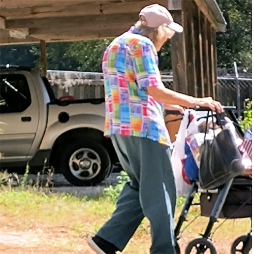 Image shows an elderly woman in her early 90s walking with the support of a walker to the pop-up pet shelter to get food for her dog.
