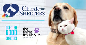 Clear the Shelters 2021 Takes Flight