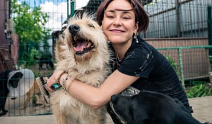 featured-image-blog-how-to-adopt-a-dog