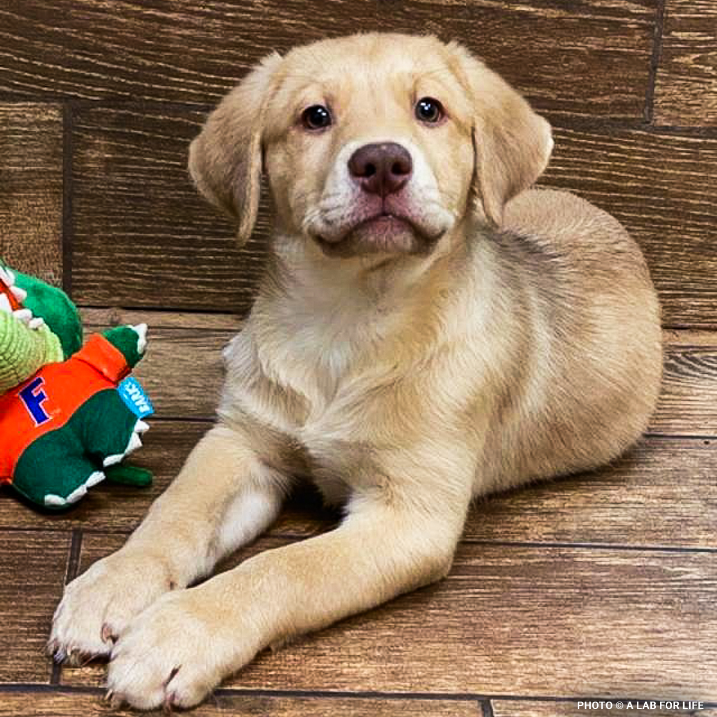 ihdcarepackage1000x1000