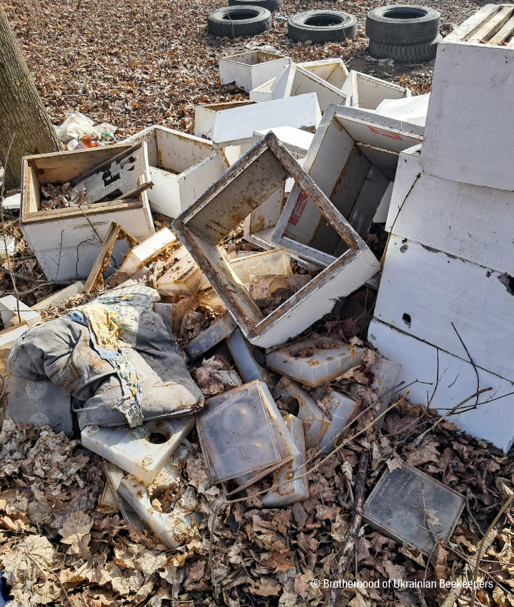 landing page images-12-Ukraine-bees-main