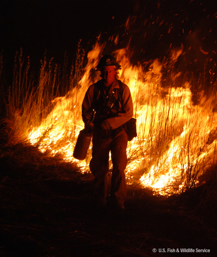 landing page images-12-wildfire-hero