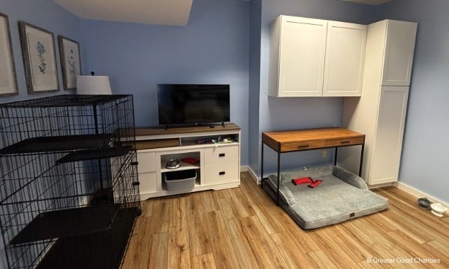 landing page images-3-EOY-Safe Housing and Shelter-body (6)