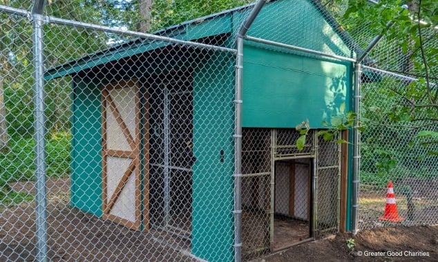 landing page images-3-EOY-Safe Housing and Shelter-body (7)