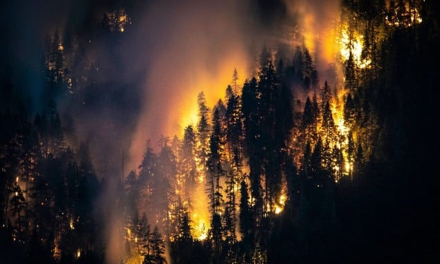 wilderness wildfire in Spokane Washington