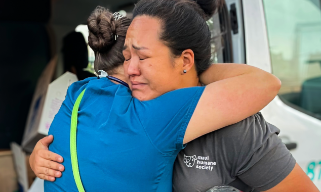 landing page images-4-maui humane society