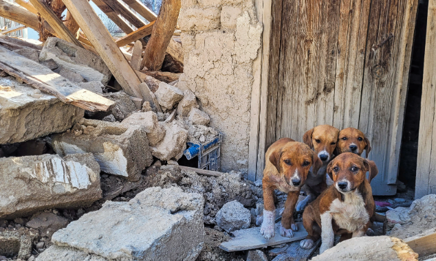 landing page images-7-Venezuela-earthquakes-body