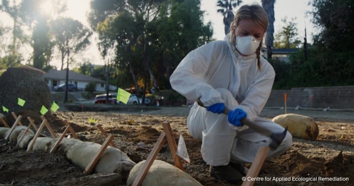 volunteer doing remediation after the LA Wildfires