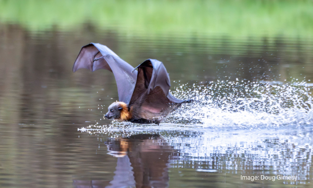 landing page images-7-flooding-featured-image