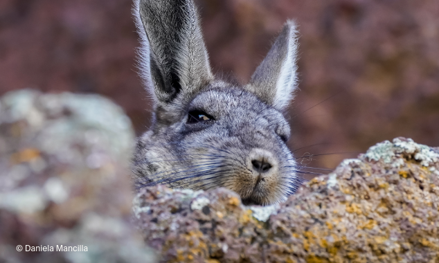 landing page images-8-flooding-featured-image