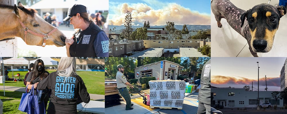 landingpage-lafires-header-011625_1000x400-1