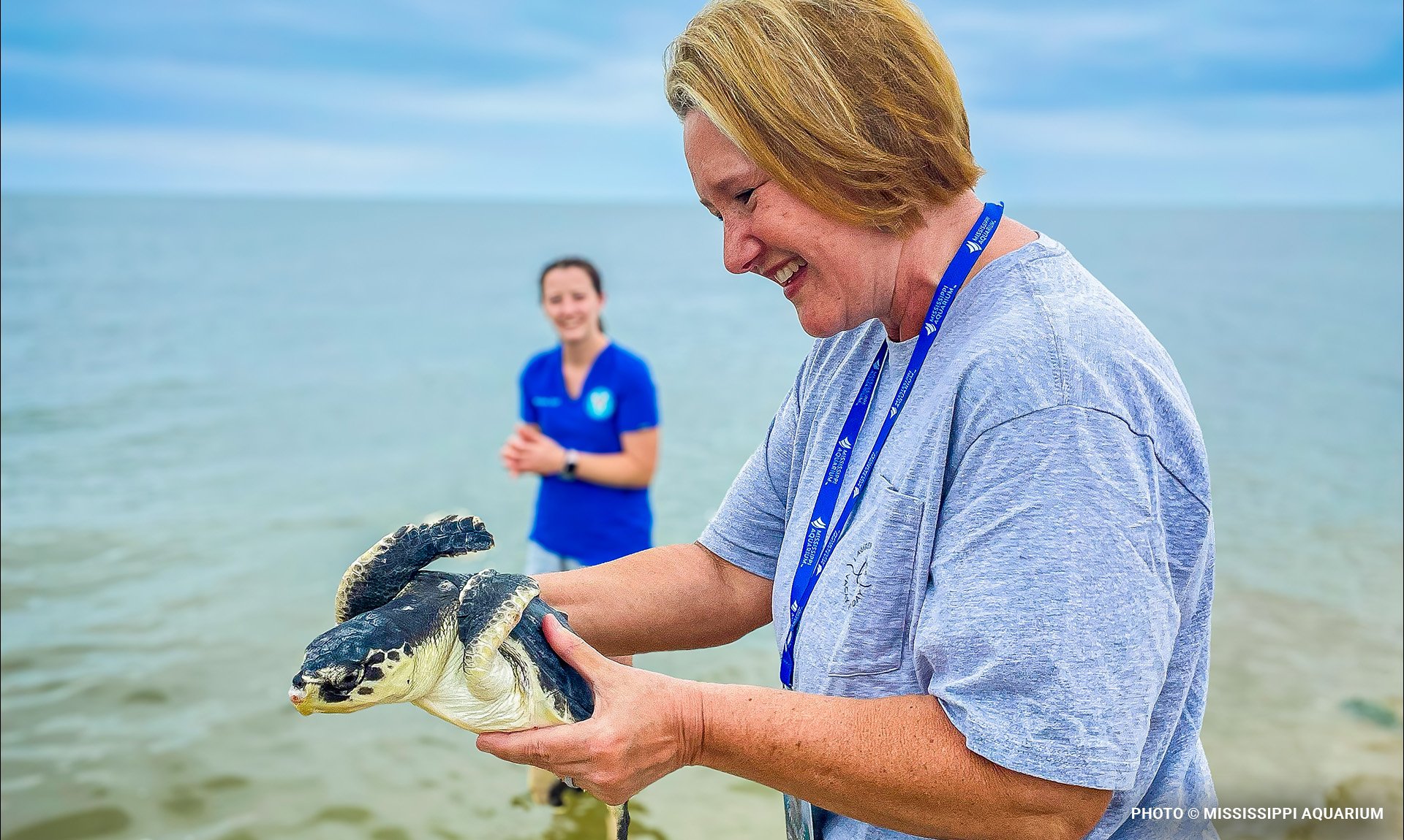 seaturtleblog