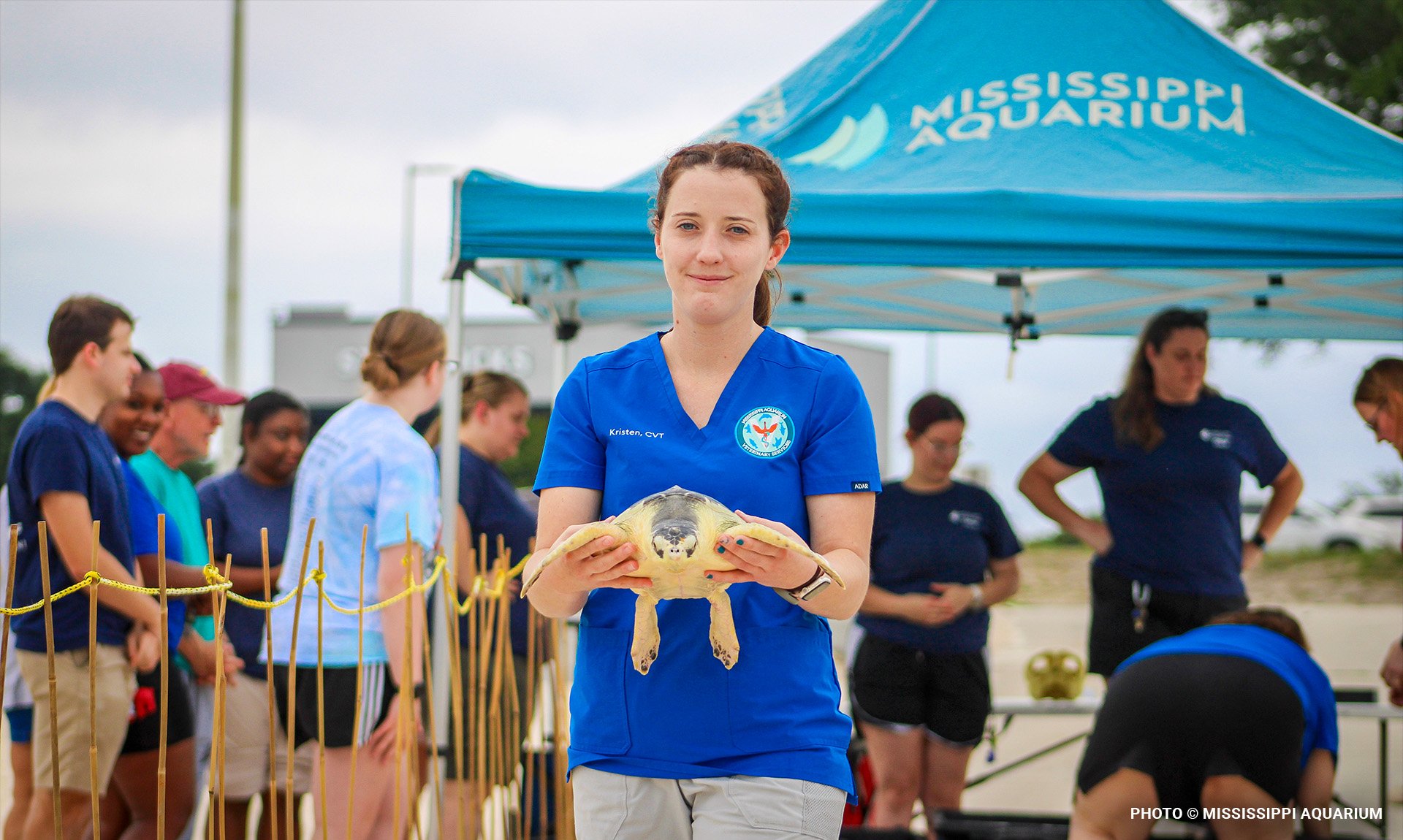 seaturtleblog11