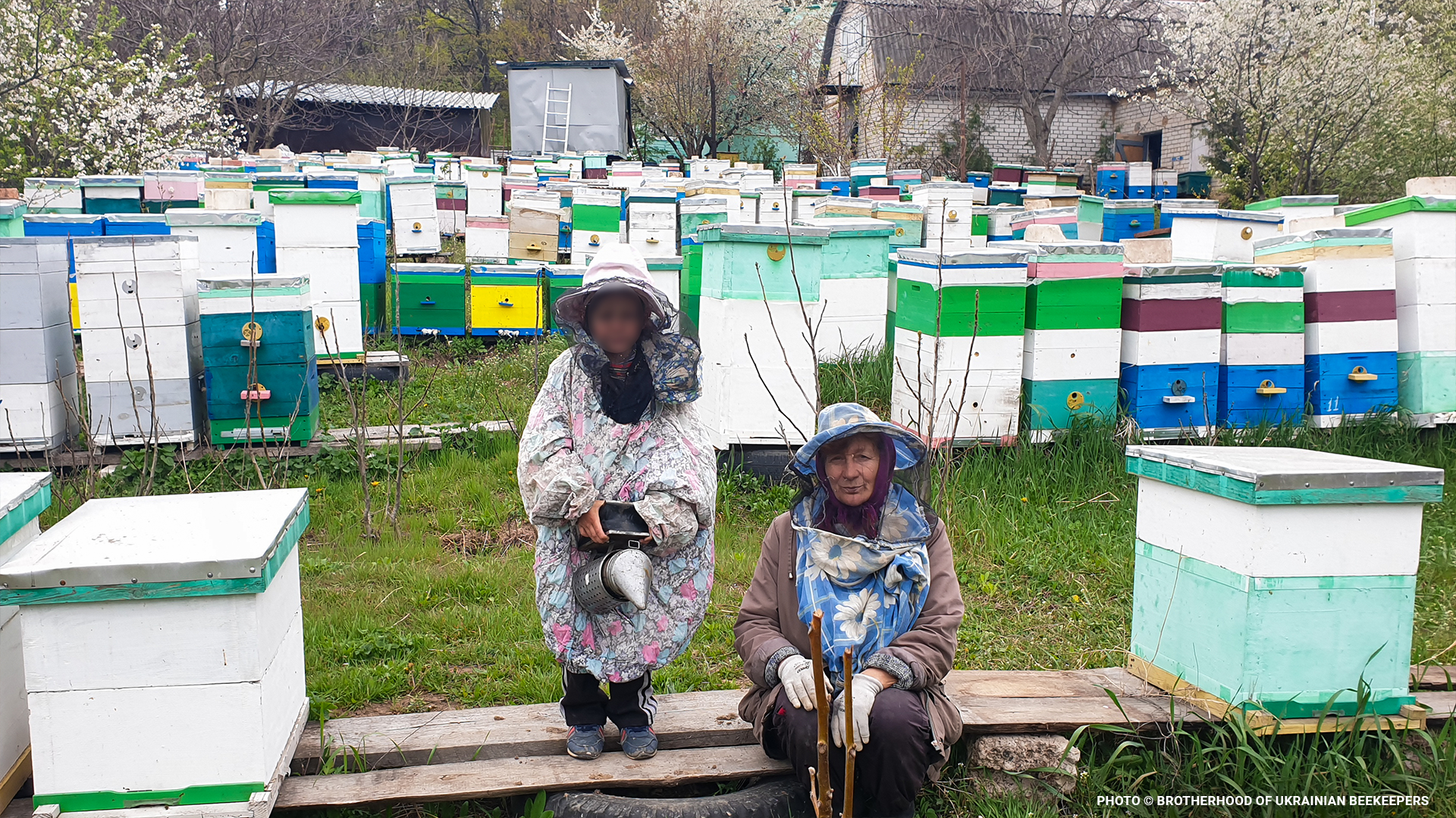 ukrainebeekeepingblog2