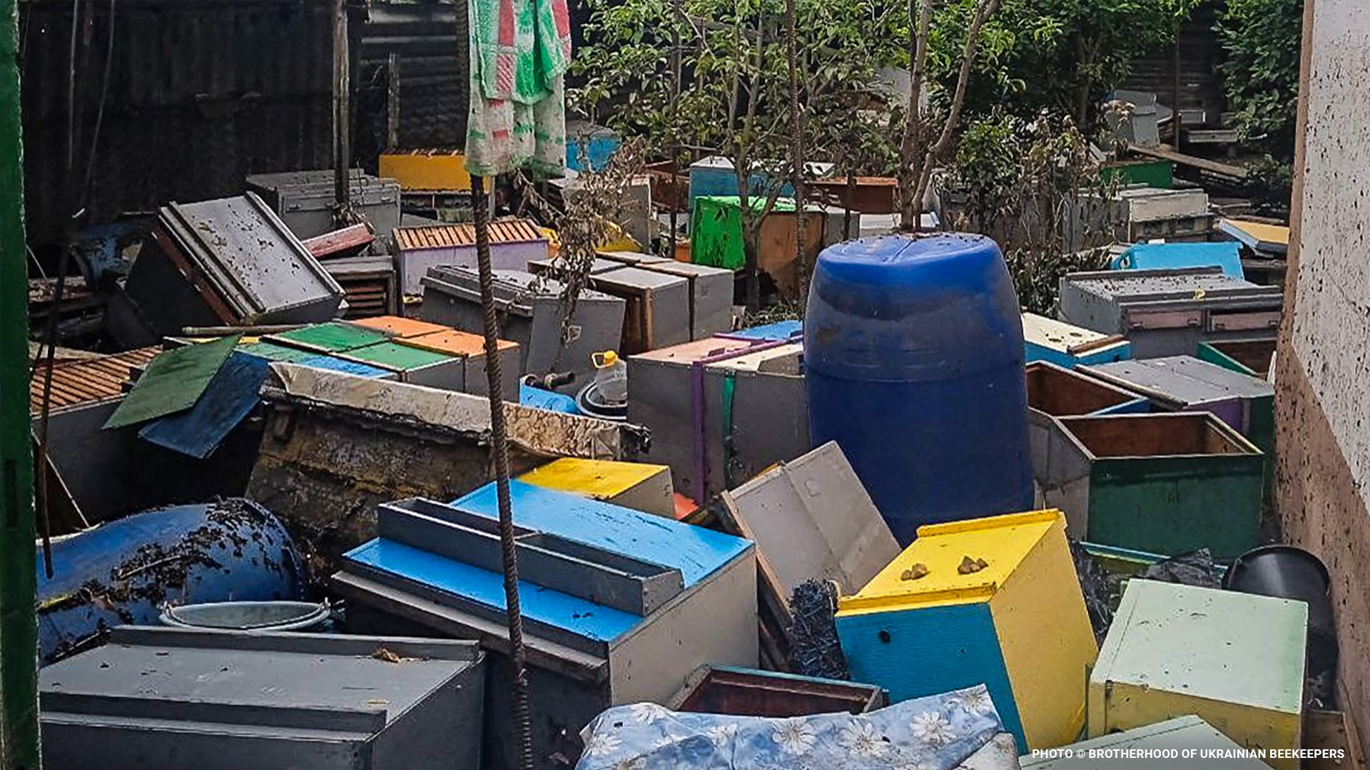 ukrainebeekeepingblog3