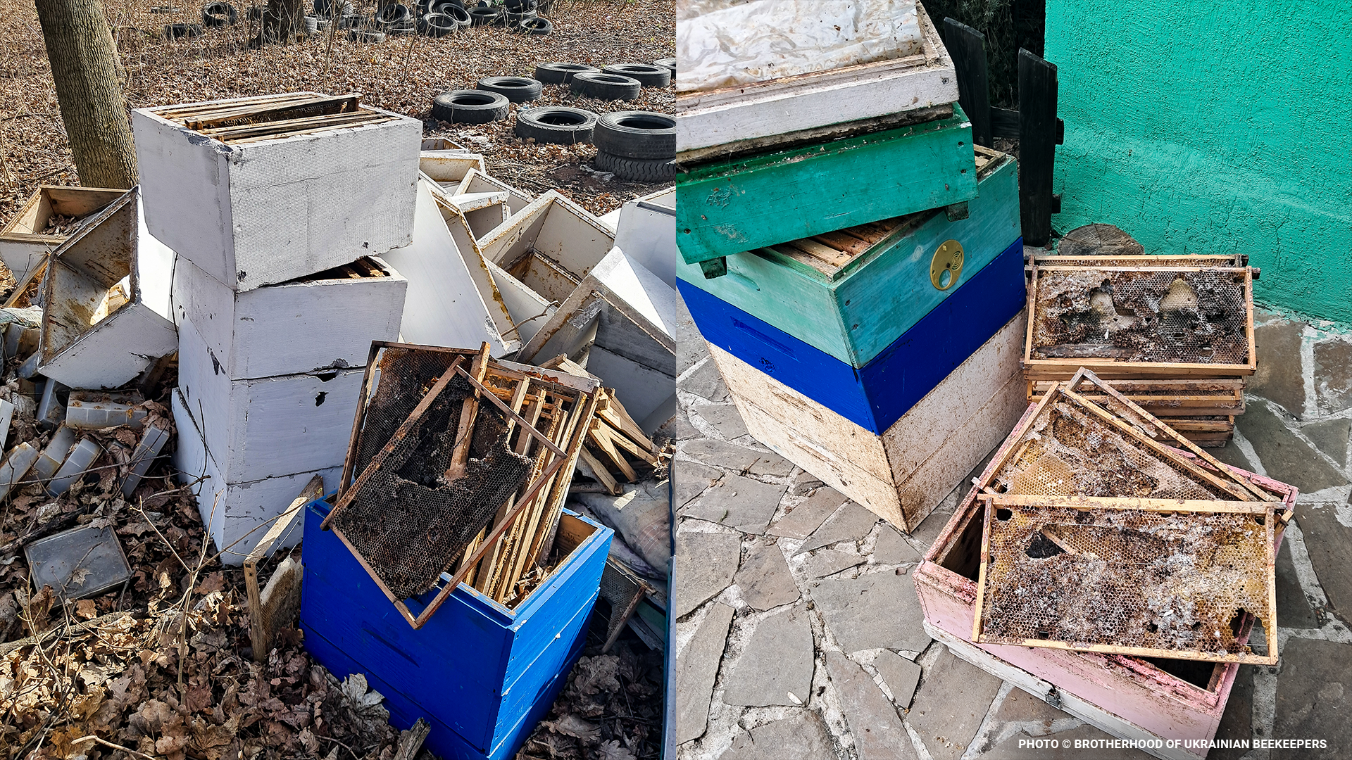 ukrainebeekeepingblog9