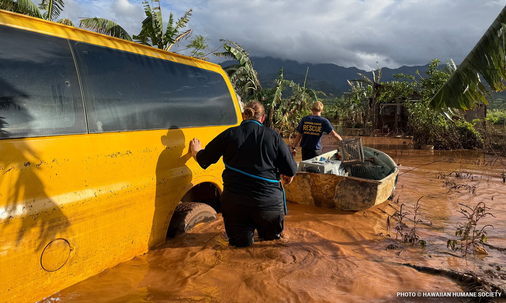why-hygiene-is-critical-after-disaster3