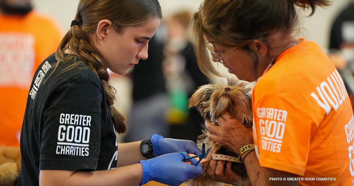 Bridging the Veterinary Care Gap: Supporting Pets, Families, & Communities