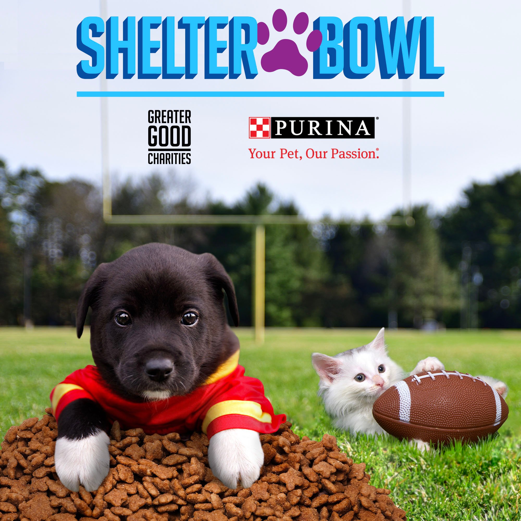 Shelter Bowl 2022 Feed Shelter Animals