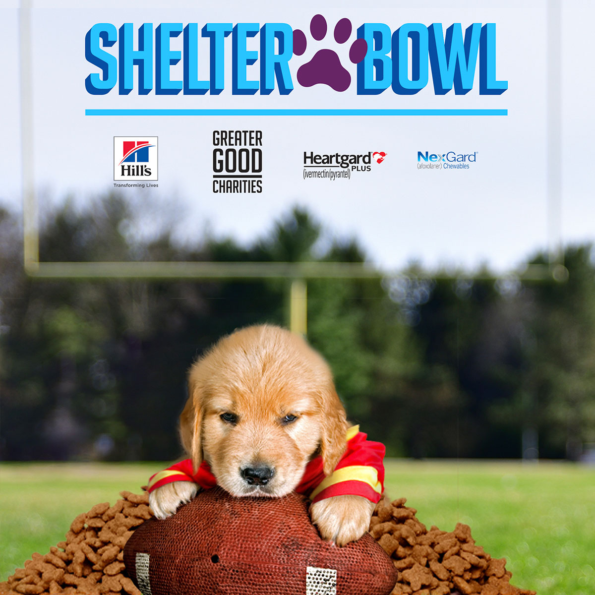 https://greatergood.org/hubfs/2023-GGC-Shelter-Bowl-Ads-Square-Final-MainImage-1.jpg