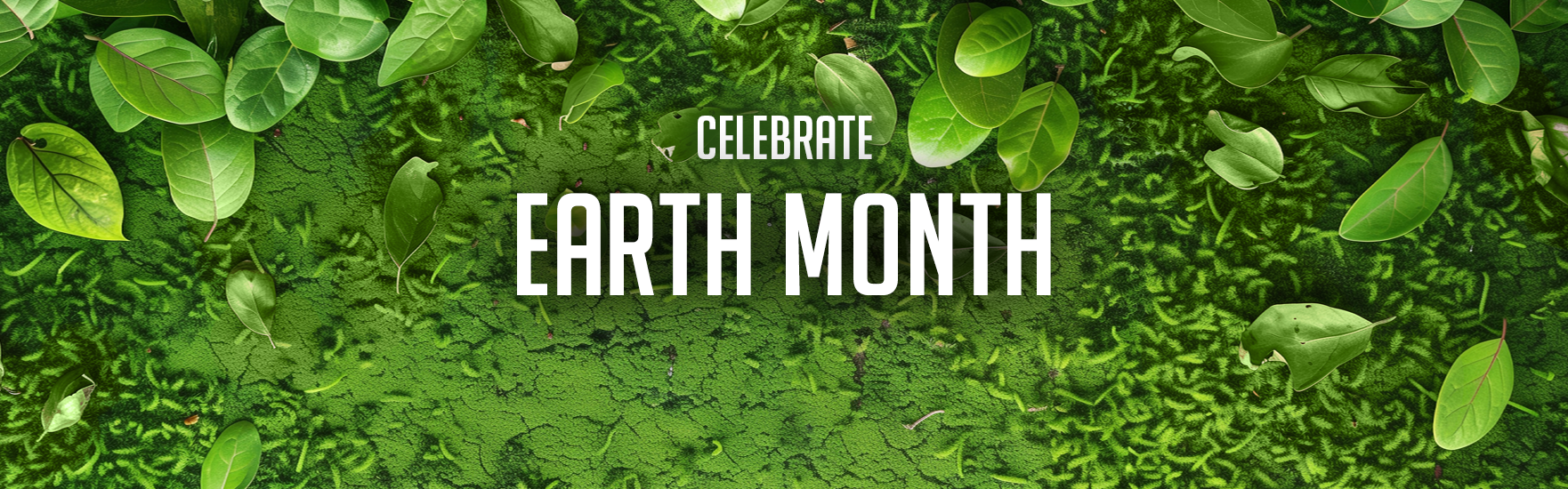 7 Simple Ways to Celebrate Earth Month