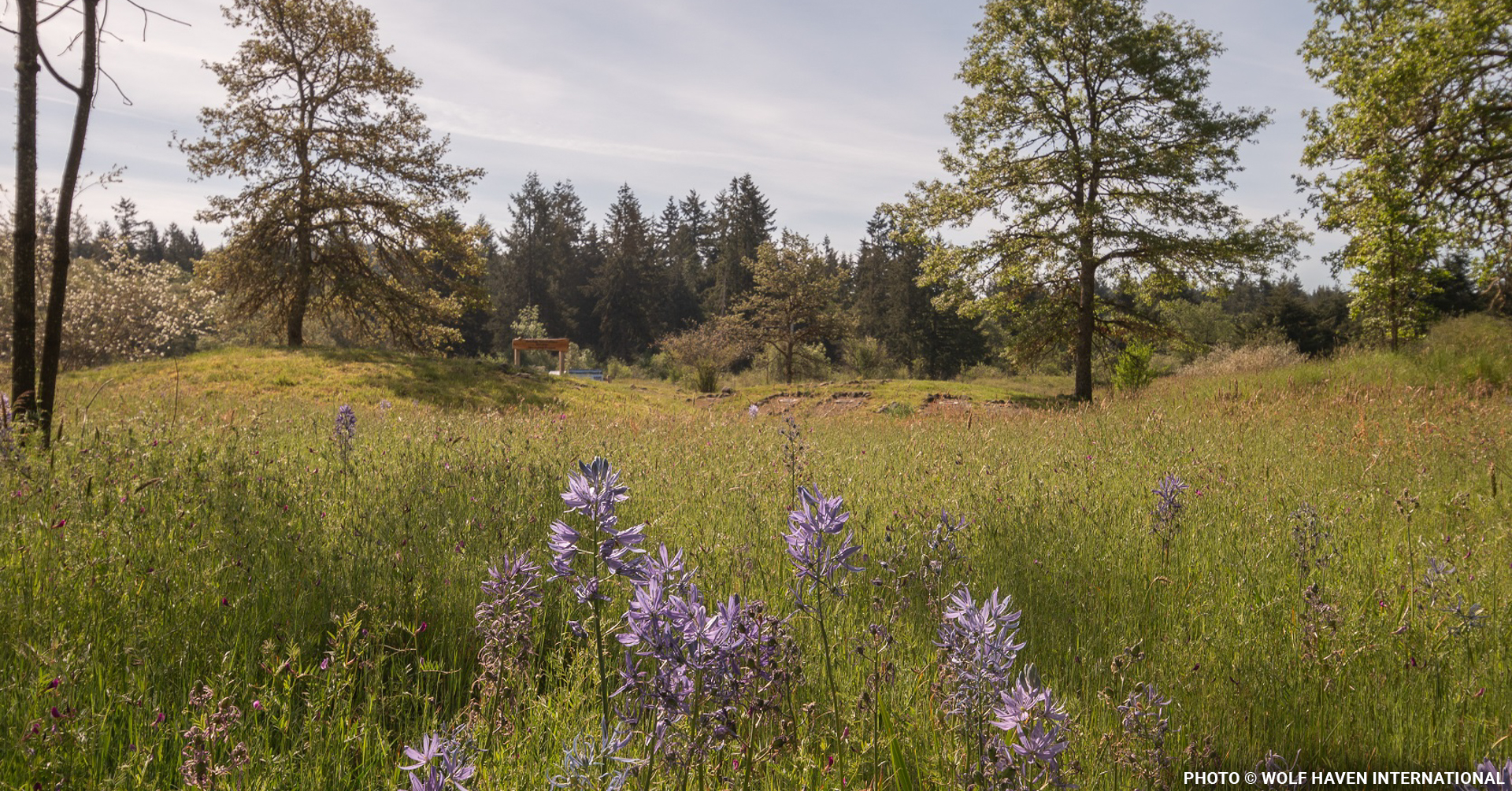 Why Land Protection Matters to Every Community