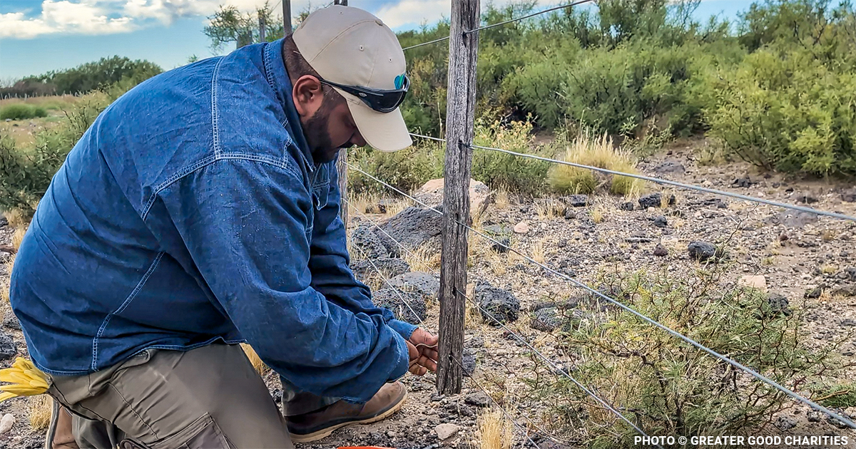 Protected Land is Climate Infrastructure