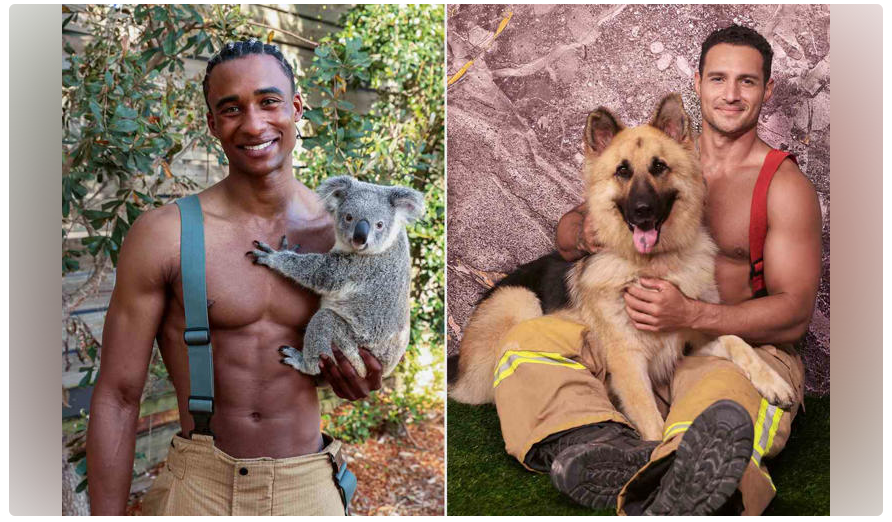 Australian Firefighter Calendar