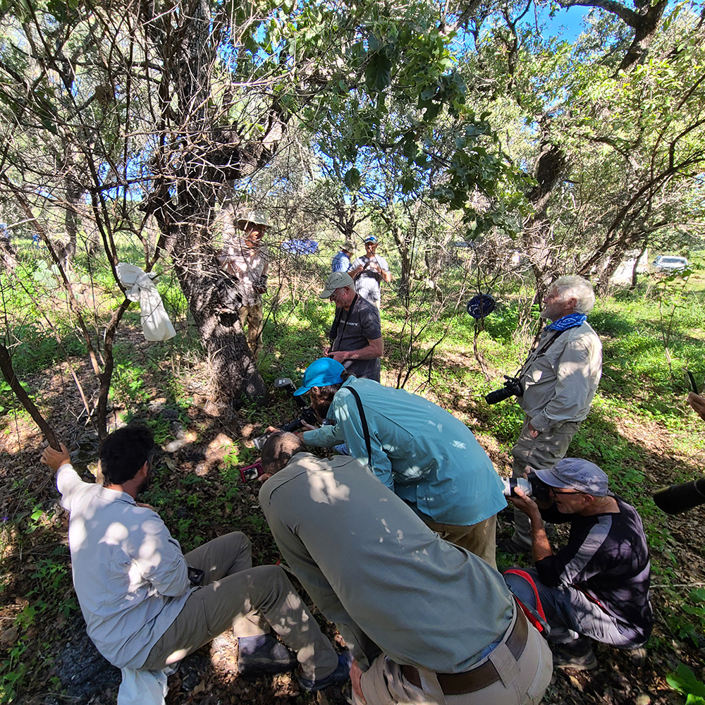 BottomImage_092022_Discovering_©GGC_MDE – Sierra Murrieta copy