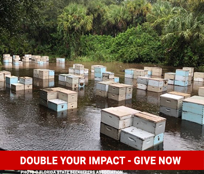 Give-Good-Save-the-Bees copy-double-impact-1