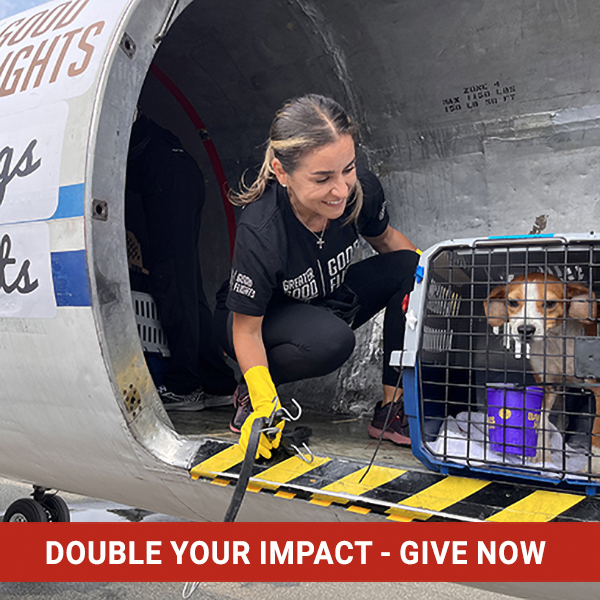 Give-Good-Transport-Pets-to-Shelters-03-double-impact